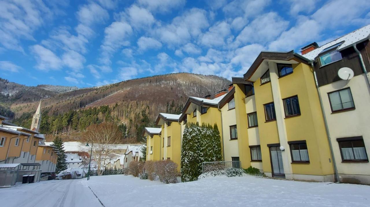 Ferienwohnung Bergspass גאמינג מראה חיצוני תמונה