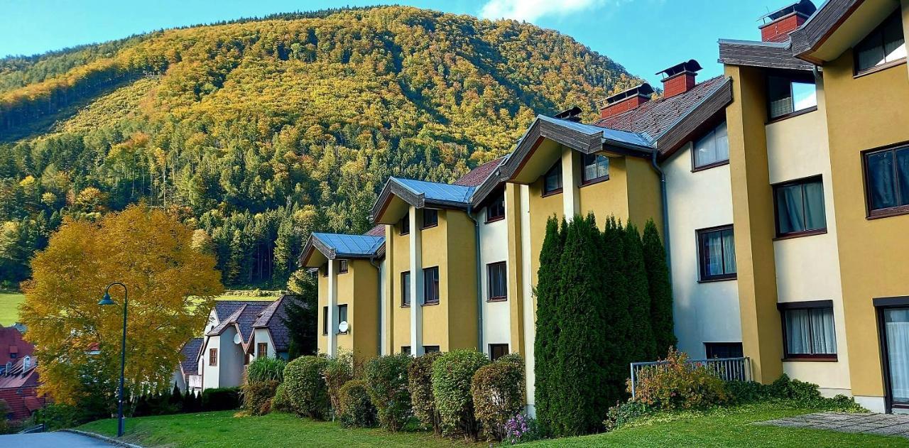 Ferienwohnung Bergspass גאמינג מראה חיצוני תמונה